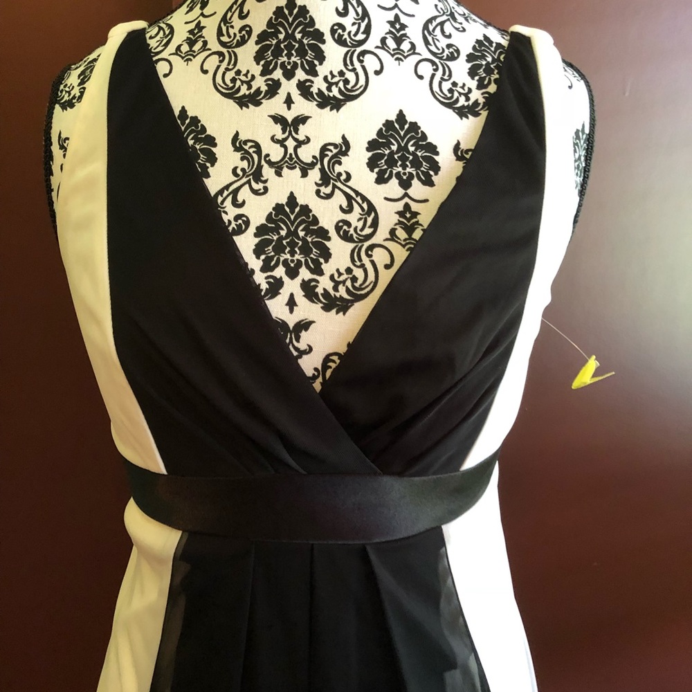 NWT dress